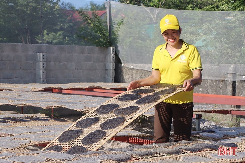 3-star OCOP helps Ha Tam sesame rice paper go far