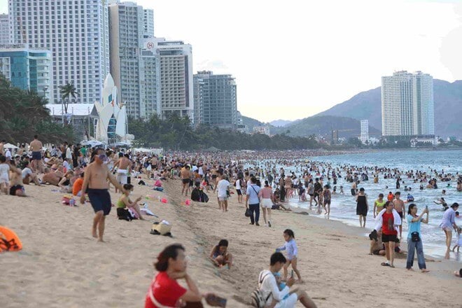 Fire jellyfish warning appears in Nha Trang beach