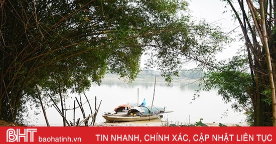 Nhớ bóng tre làng