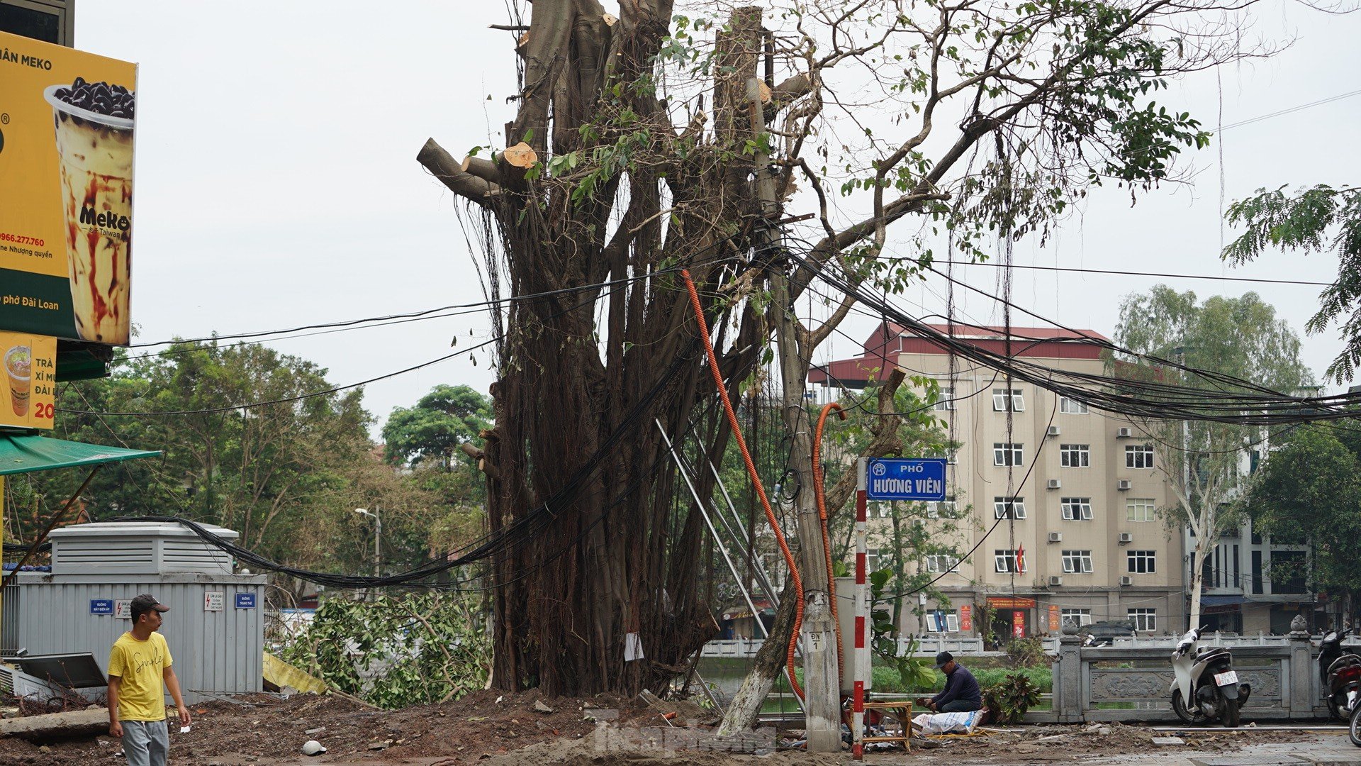 After cleaning up fallen trees, Hanoi begins to rebuild green space photo 5