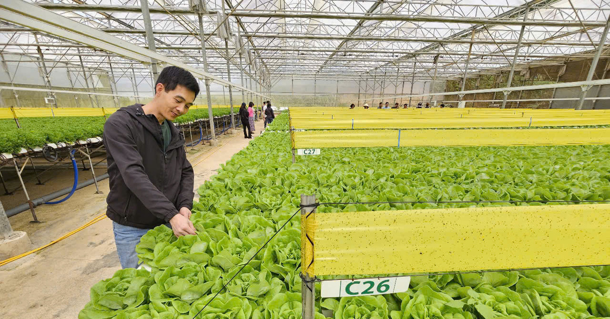 ពីករណីតម្លៃនៃសារធាតុហាមឃាត់ យើងត្រូវបង្កើនការទទួលខុសត្រូវសម្រាប់អាជីវកម្ម និងផ្សារទំនើប