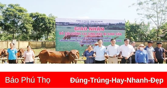 Phù Ninh đẩy mạnh công tác an sinh xã hội