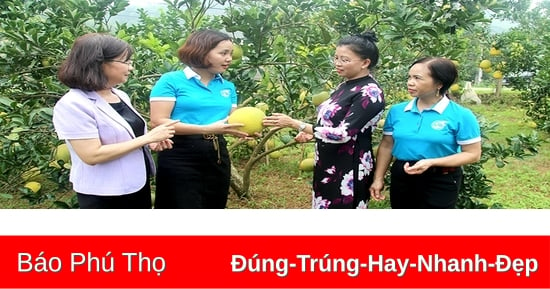 Giúp phụ nữ phát triển kinh tế