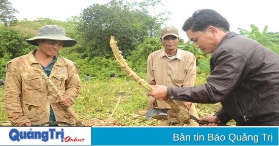 Hỗ trợ tiêu thụ nông sản vùng đồng bào dân tộc thiểu số