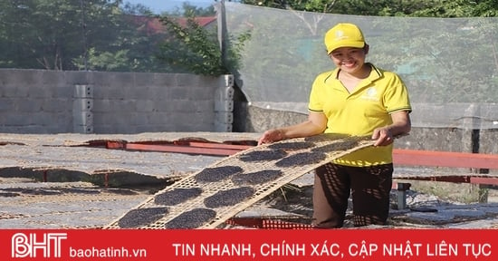 OCOP 3 sao giúp bánh đa vừng Hà Tâm vươn xa