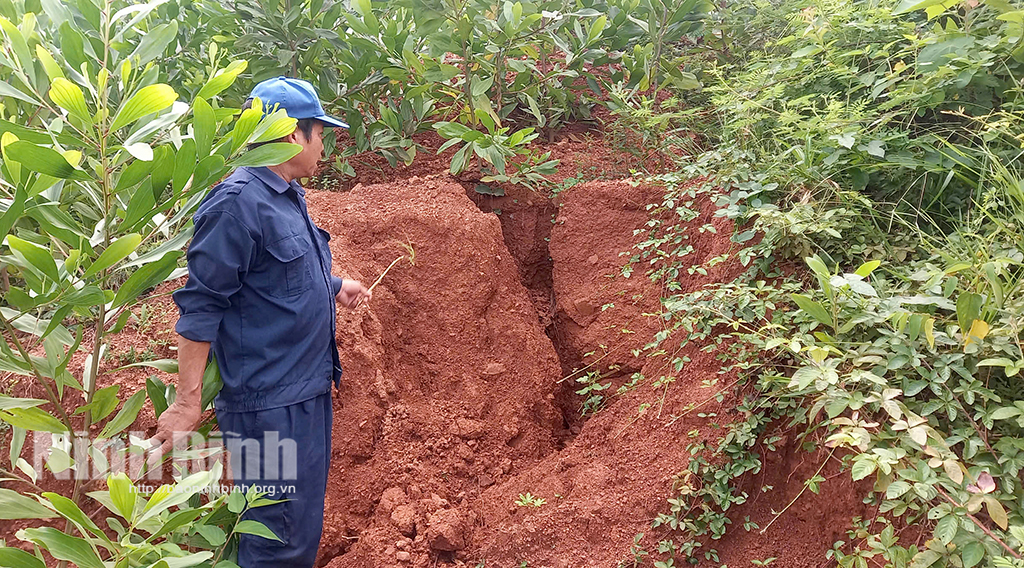 Responder proactivamente al incidente de deslizamiento de tierra en la colina de Veo, comuna de Son Lai