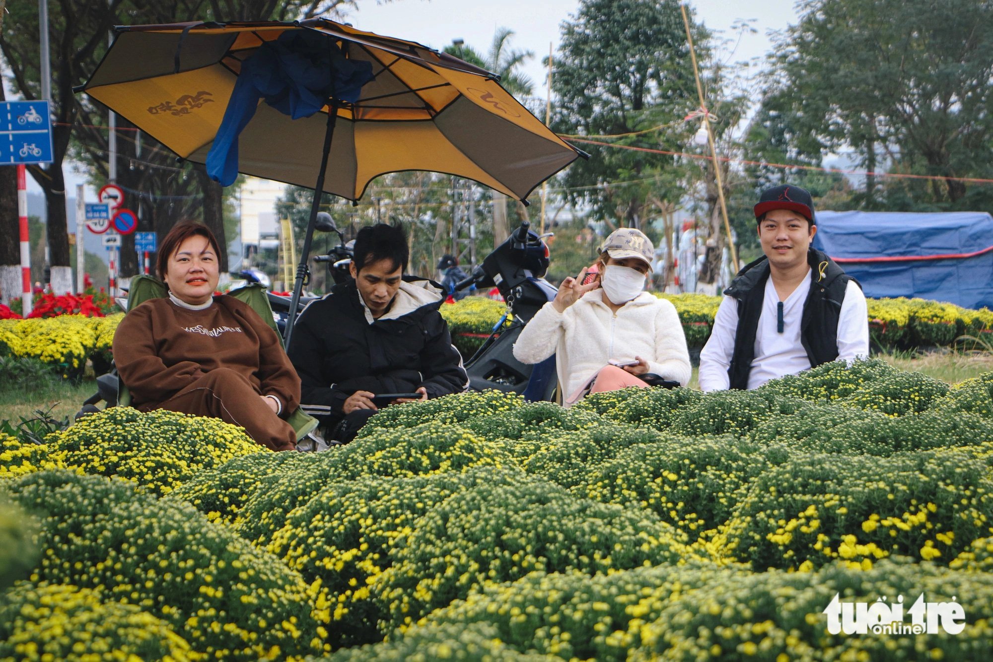 Đà Nẵng: Hoa Tết rực rỡ xuống phố, giá bình ổn - Ảnh 1.