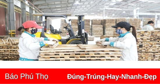 Năm mới, khí thế mới