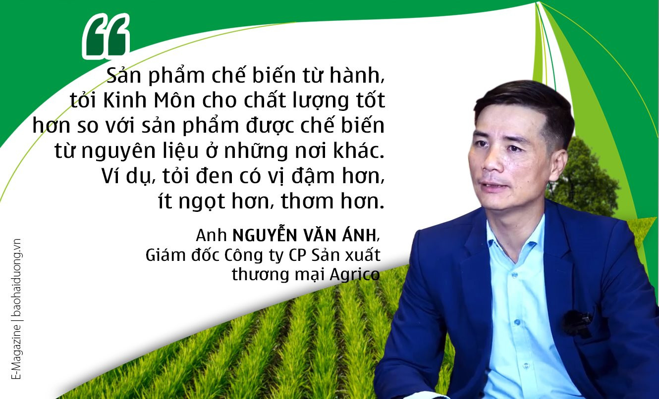 td-anh-Kopie.jpg