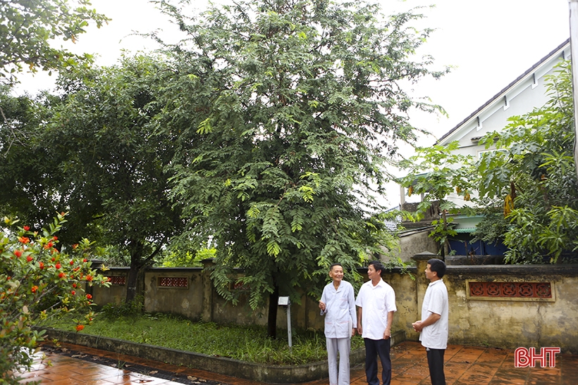 La Son Phu Tu Nguyen Thiep et le roi Quang Trung se sont mariés à Ha Tinh - Binh Dinh