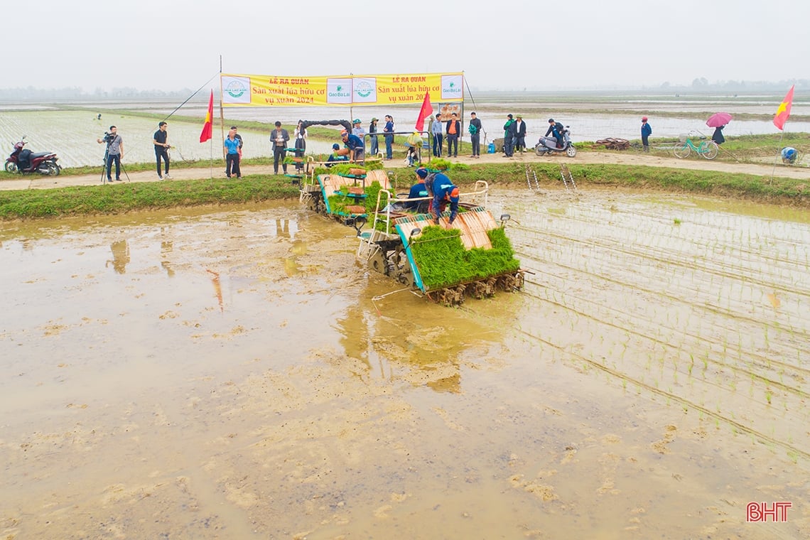 Nông dân Hà Tĩnh “đua” tiến độ gieo cấy lúa xuân