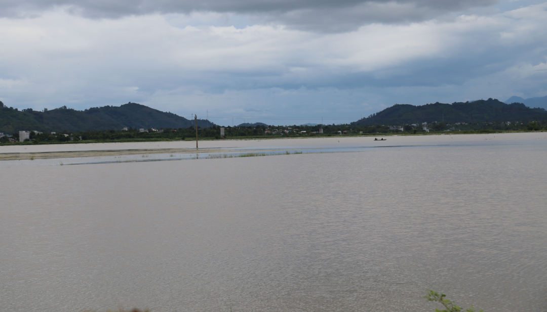 ស្រែ​ក្នុង​ឃុំ Binh Hoa ស្រុក Krong Ana ត្រូវ​ជន់​លិច។