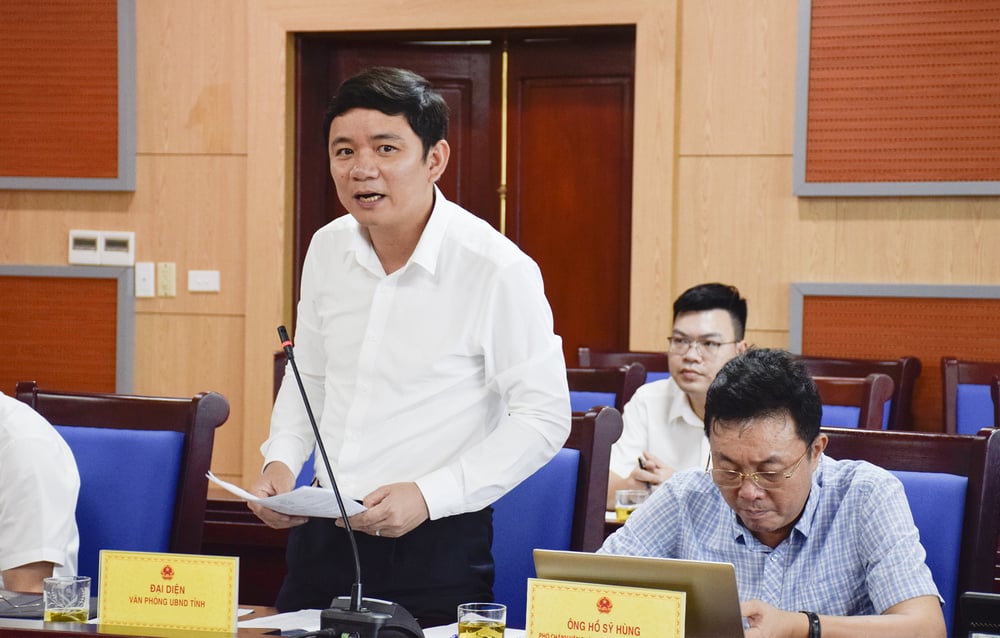 Comrade Hoang Vinh Truong - Deputy Chief of Office of the Provincial People's Committee spoke at the meeting.