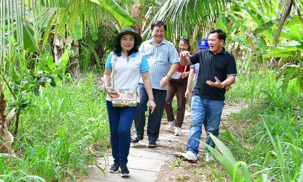 Survey to form Cu Lao Long Tri Eco-tourism Area