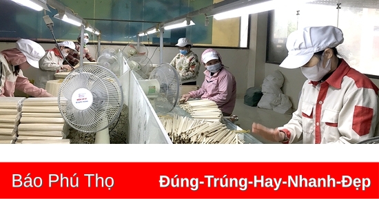 Vững tin, tăng tốc phục hồi trong năm mới