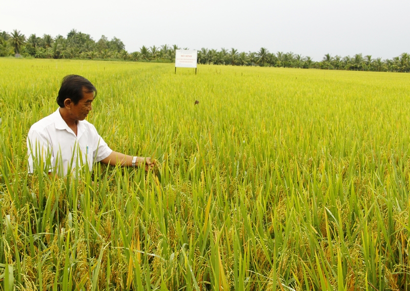 Agricultural models applying integrated plant health management (IPHM) bring economic and environmental benefits to farmers.