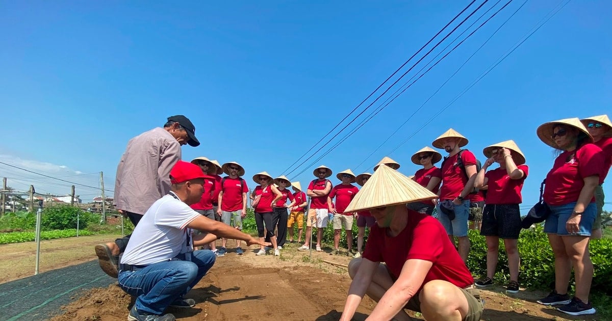 Kết nối và lan tỏa