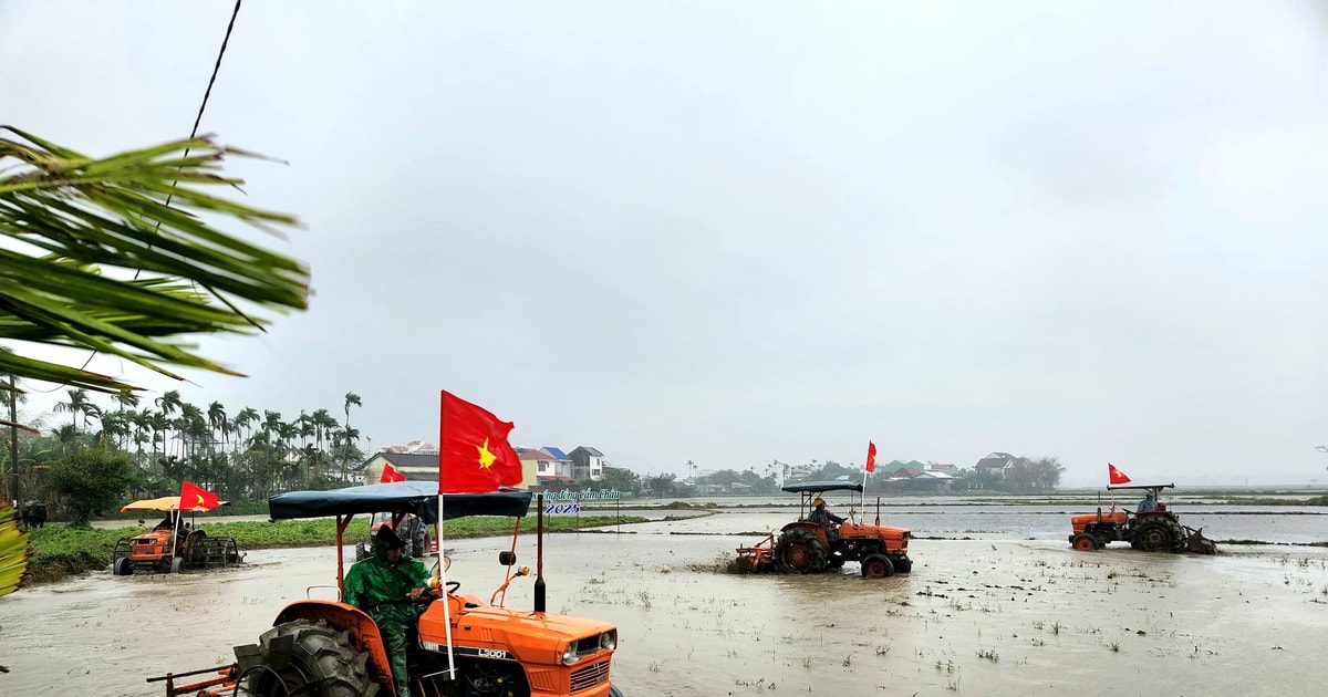 ความประทับใจจาก Cam Chau “เทศกาล Going to the Fields”