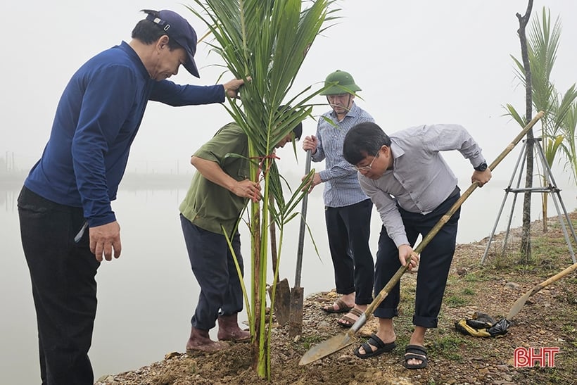 La ciudad de Ha Tinh plantó cerca de 5.000 cocoteros en el área ecológica de Dong Ghe.