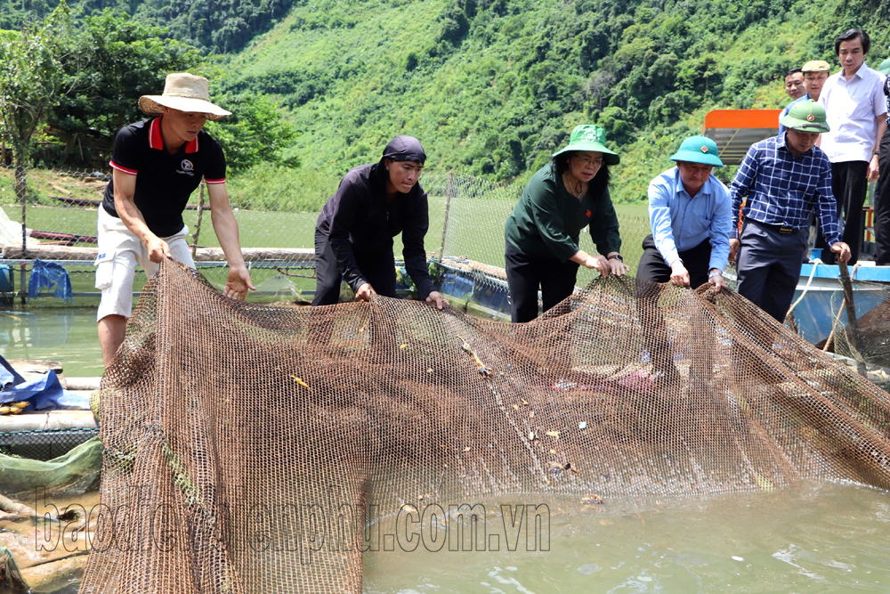 Không để lãng phí nguồn lực các Chương trình mục tiêu Quốc gia (bài 1)