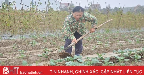 Các địa phương ở Hà Tĩnh đẩy nhanh tiến độ sản xuất vụ đông