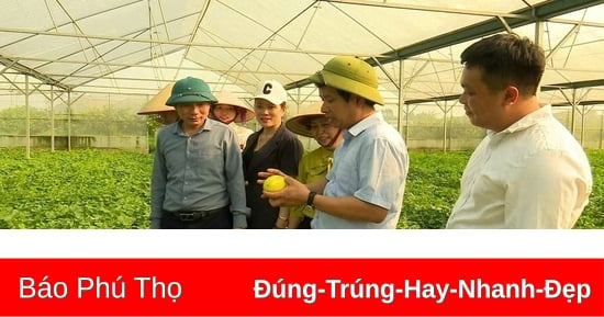 Động lực phát triển nông nghiệp, nông thôn