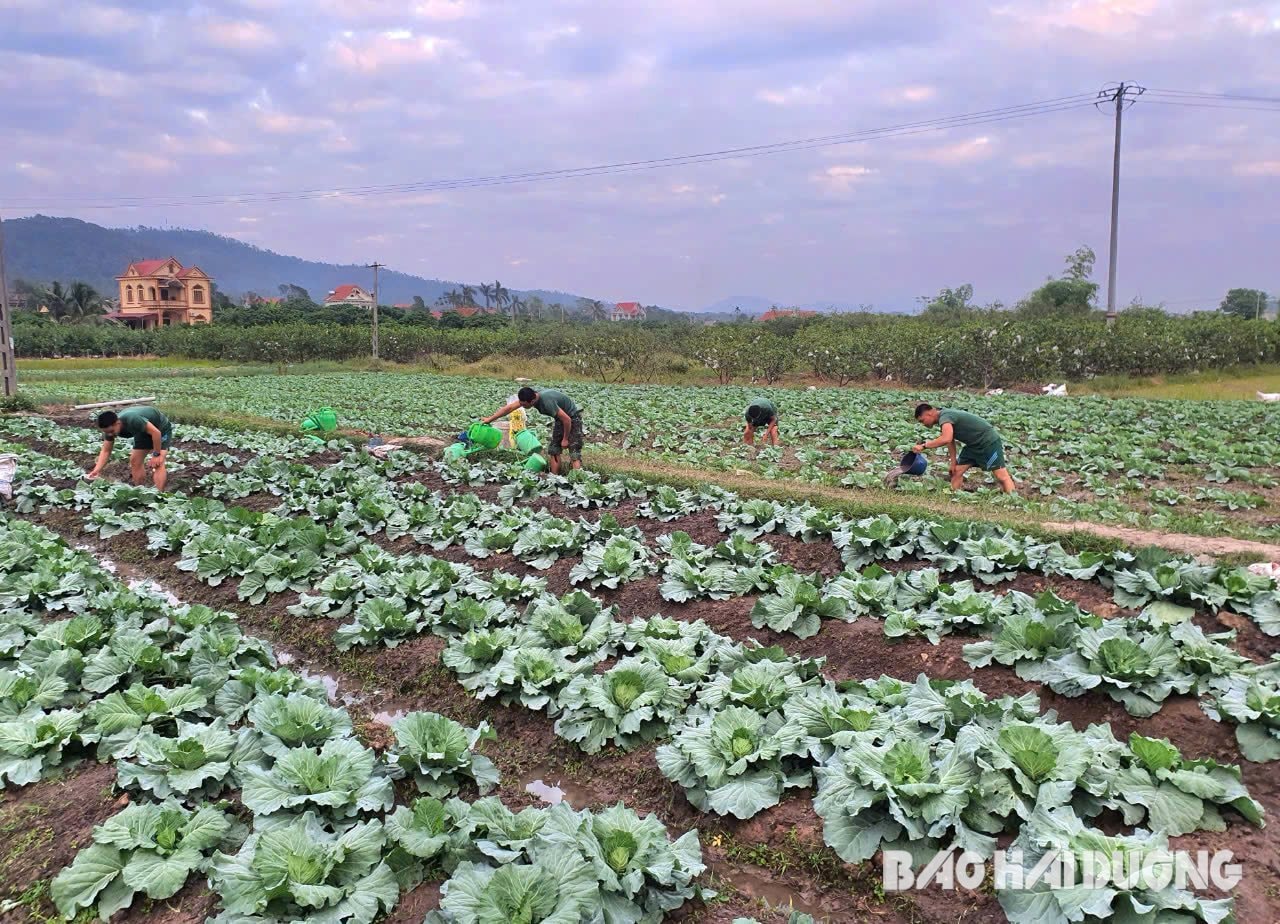 งานศพของตรังดอย.jpg