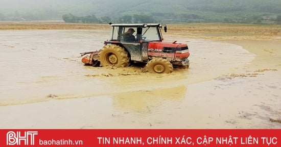 Người dân Vũ Quang phấn khởi ra đồng sản xuất lúa xuân