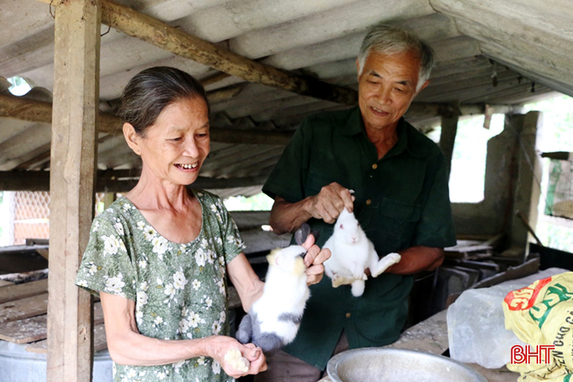 Phát huy “chất lính” trong làm kinh tế vườn đồi ở huyện miền núi Hà Tĩnh