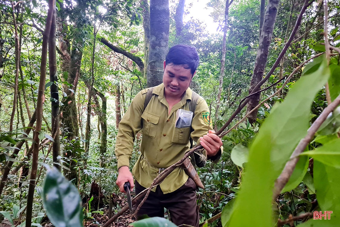 ค้นพบความงามที่ซ่อนอยู่ของอุทยานแห่งชาติหวู่กวาง