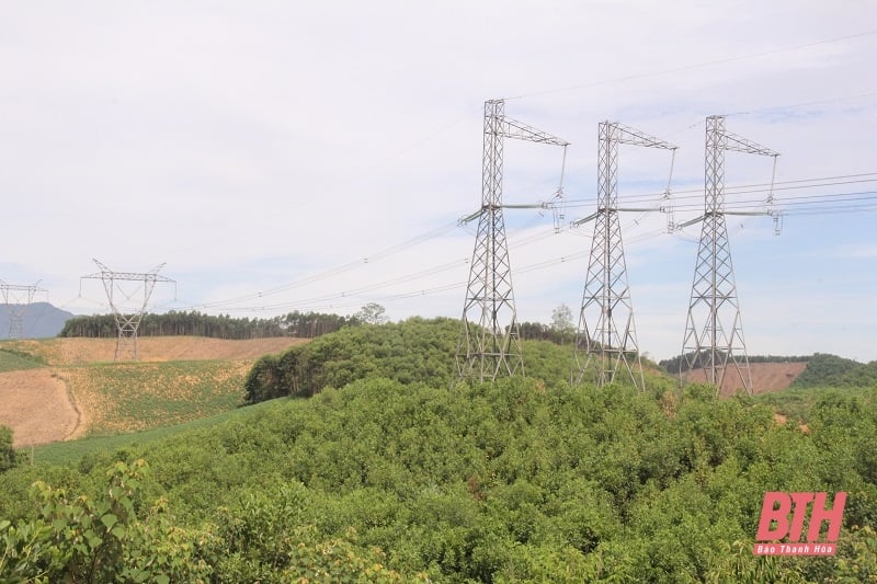 Quyết tâm hoàn thành đường dây 220kV Nậm Sum - Nông Cống trong tháng 10/2024