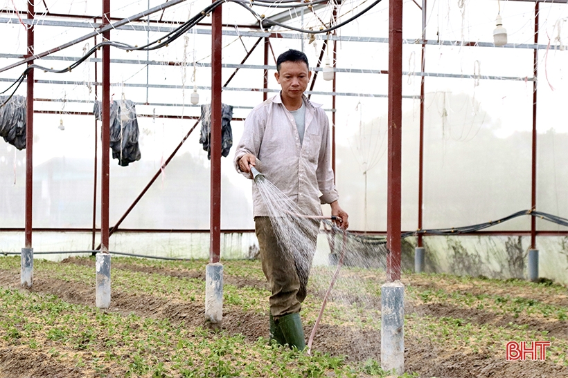 Luu Vinh Son flower village is busy during Tet season