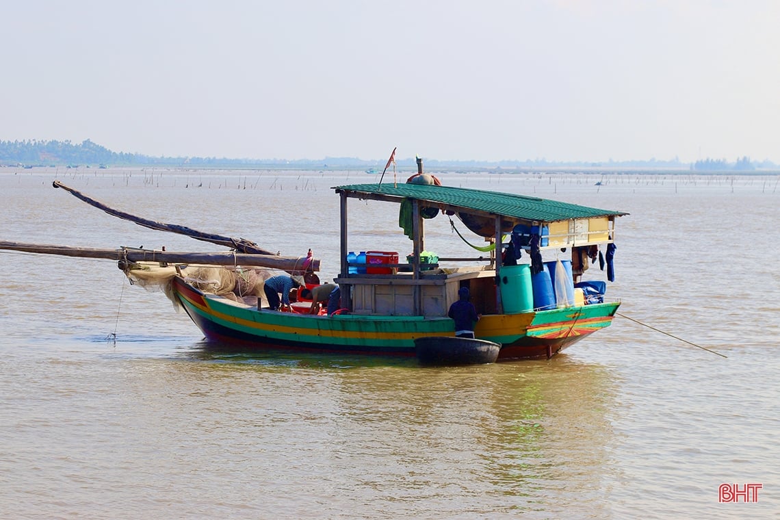 Las instalaciones de procesamiento de mariscos en Ha Tinh están ocupadas 