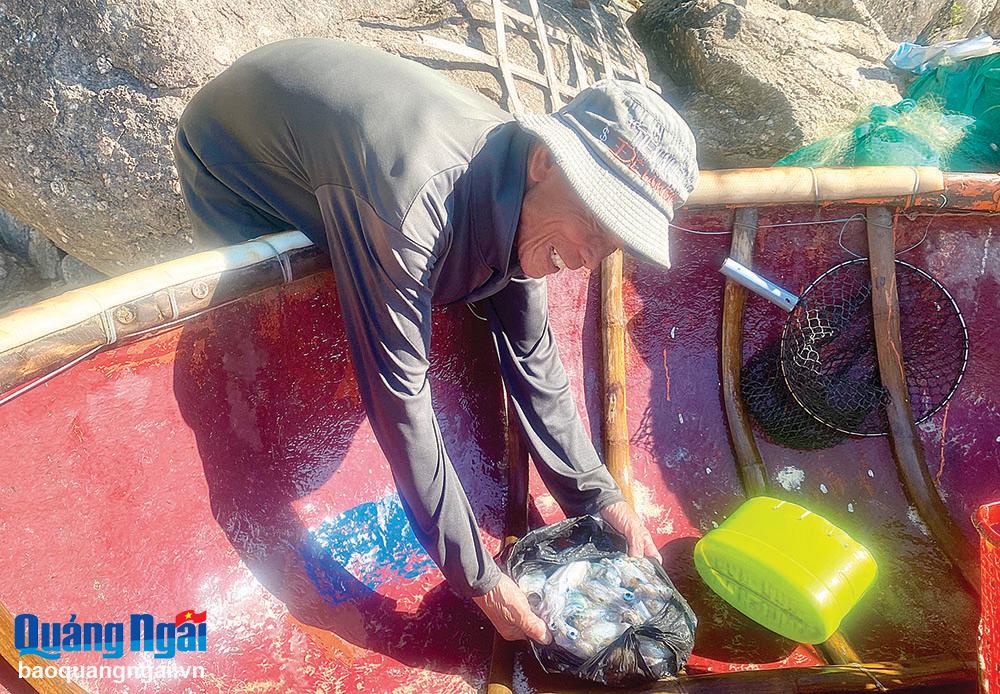 إنجاز الصياد نجو فان هونغ، في بلدية بينه ثوان (بينه سون)، بعد ساعتين من صيد الحبار.