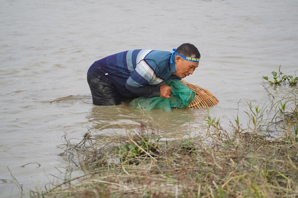 気温16度の寒い中、何百人もの人々が幸運を祈って魚を捕まえるために畑へ出かけます（写真15）