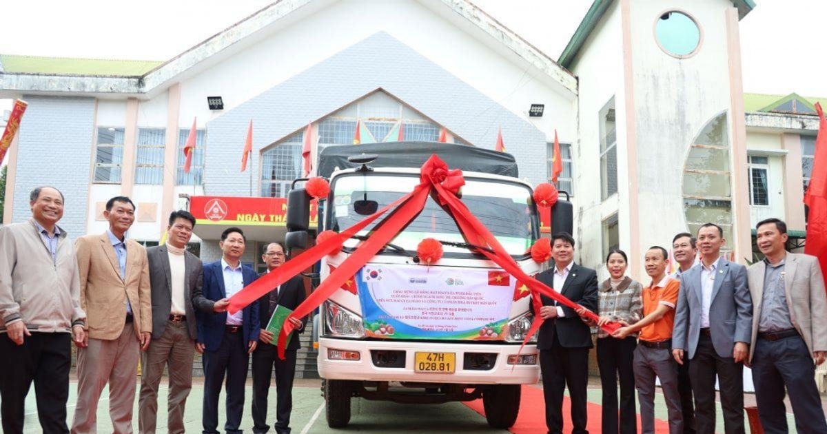 Lô hàng hạt mắc ca Ea H’leo đầu tiên xuất khẩu chính ngạch sang thị trường Hàn Quốc