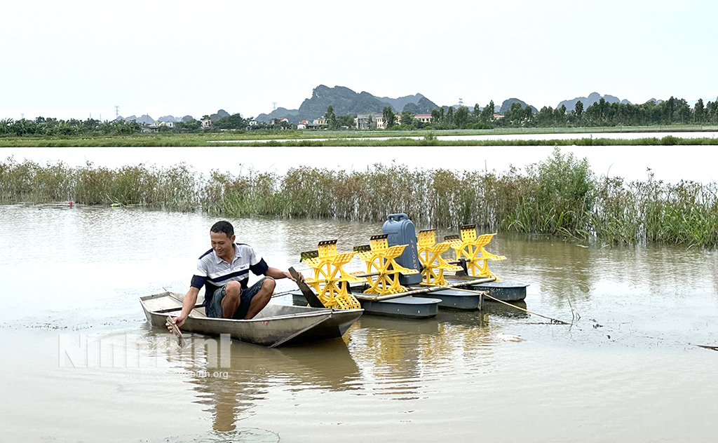 The rice field fish crop started smoothly.