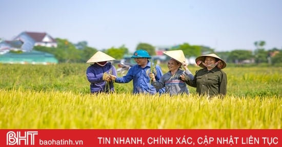 L'agriculture de Ha Tinh sur la voie de la croissance verte