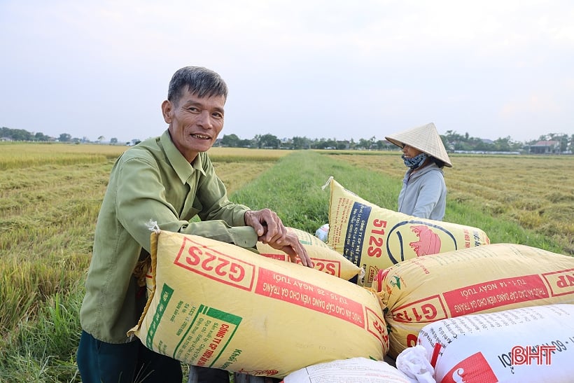 Summer-autumn rice prices increase, easy to sell, Ha Tinh farmers are happy