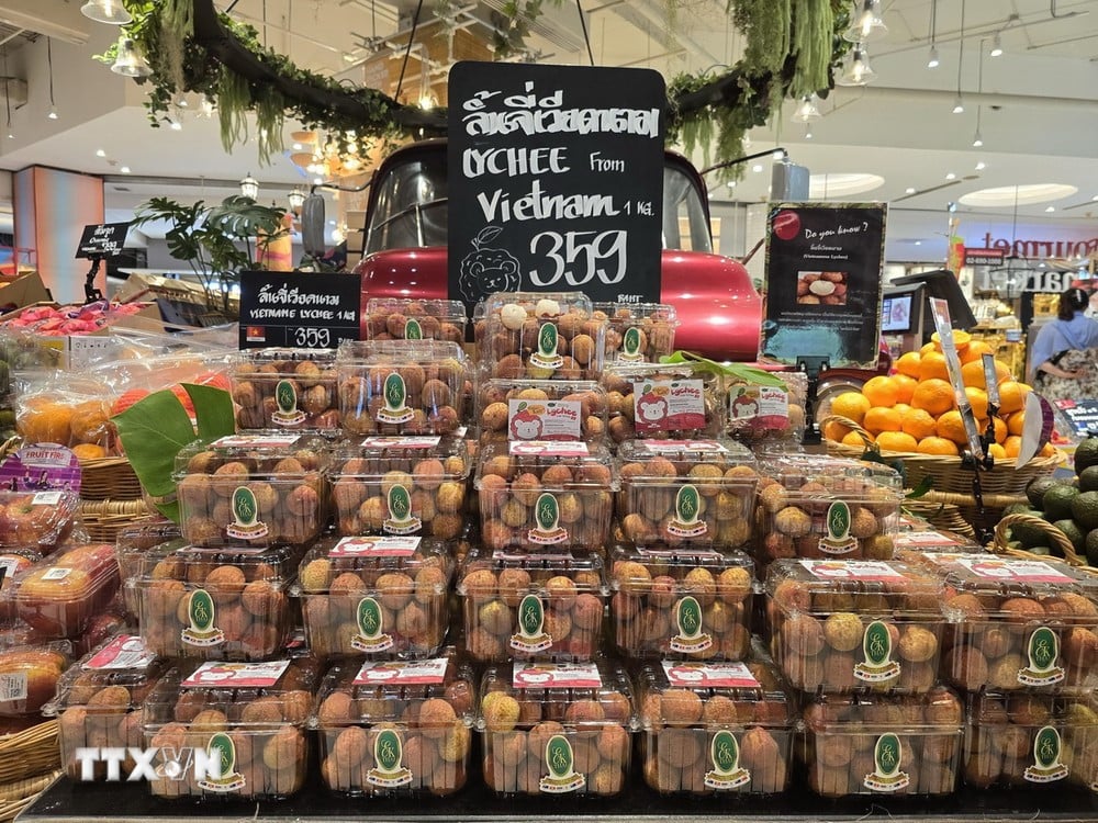 Les premières boîtes de litchis frais vietnamiens ont été vendues au supermarché Gourmet Market de Bangkok le 15 juin, pendant la saison des litchis de cette année. (Photo : Huy Tien/VNA)