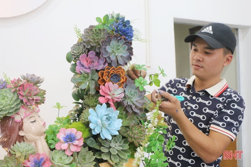 Un pasatiempo único: cultivar flores de loto de piedra en Ha Tinh.