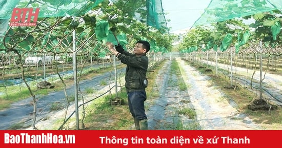 Thực hiện các giải pháp bảo vệ môi trường trong sản xuất nông nghiệp