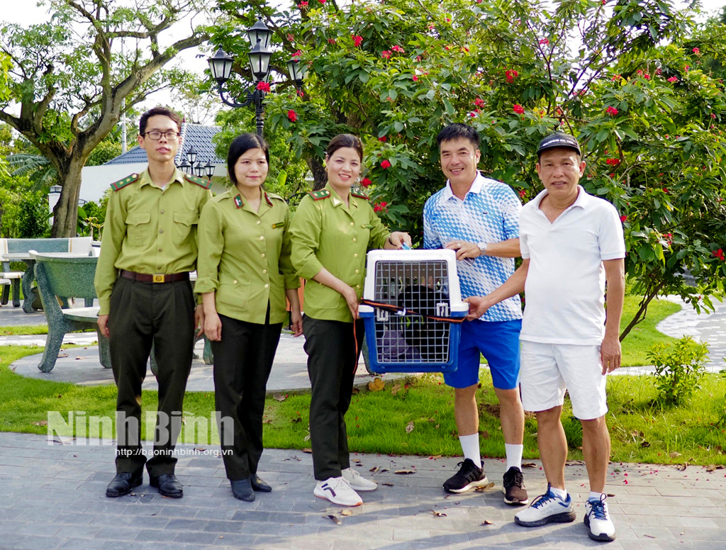 Le parc national de Cuc Phuong sauve un gibbon à joues noires rare et menacé