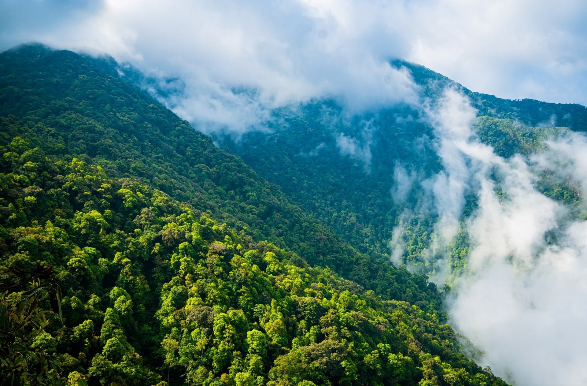 Lai Chau te invita a conocer sus majestuosos picos montañosos.