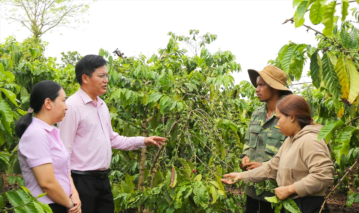 Phó Giám đốc Chi nhánh NHCSXH tỉnh Đắk Nông Vũ Anh Đức kiểm tra sử dụng nguồn vốn trên địa bàn tỉnh