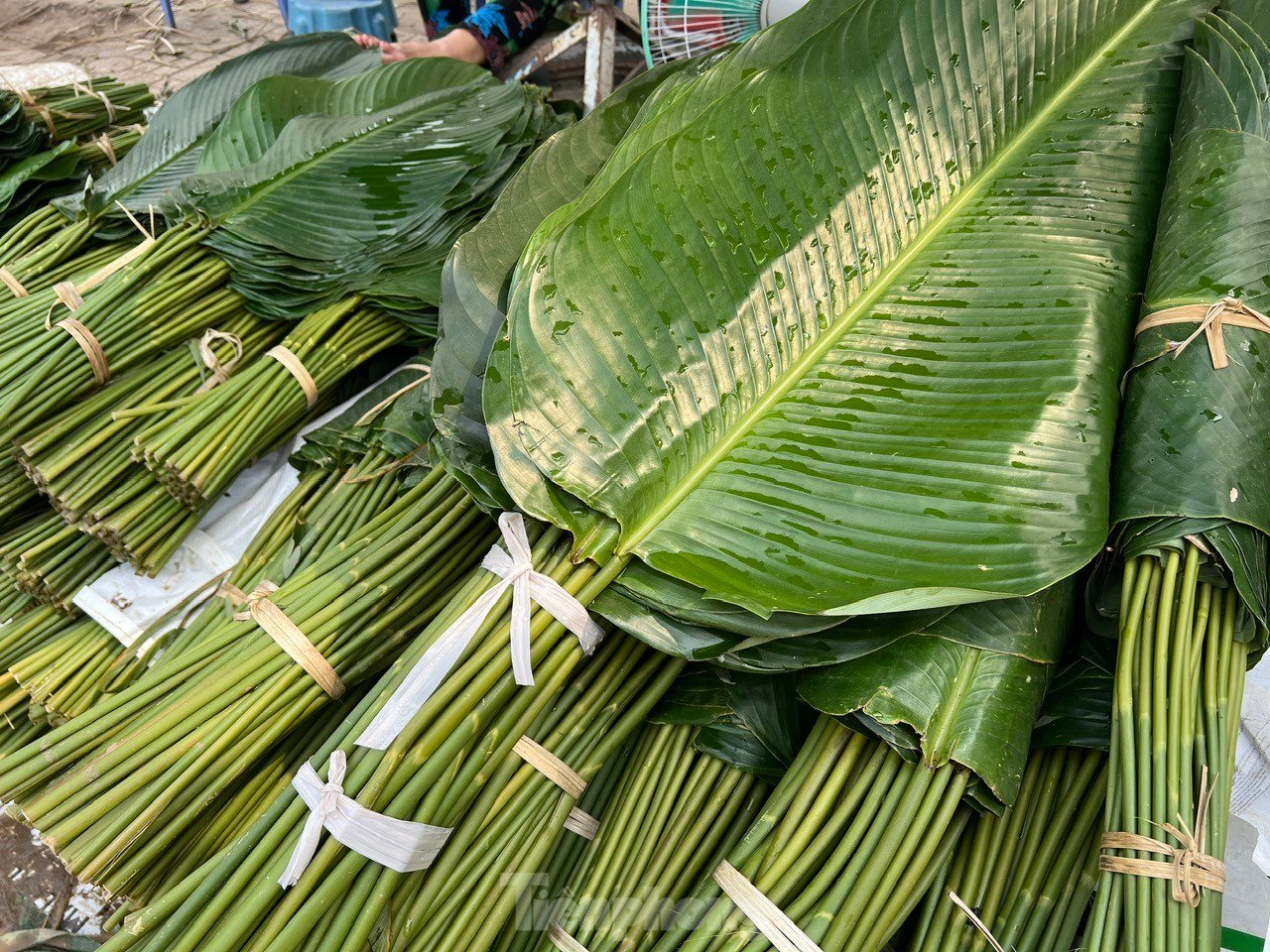 Der einst berühmte Dong-Blatt-Markt in Ho-Chi-Minh-Stadt ist verlassen, Händler seufzen Foto 2