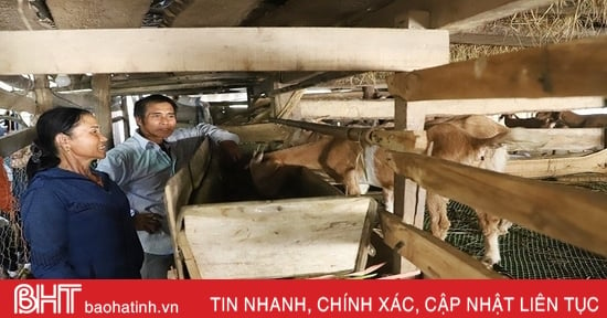 Nữ chi hội trưởng nông dân vùng giáo miệt mài xây phong trào