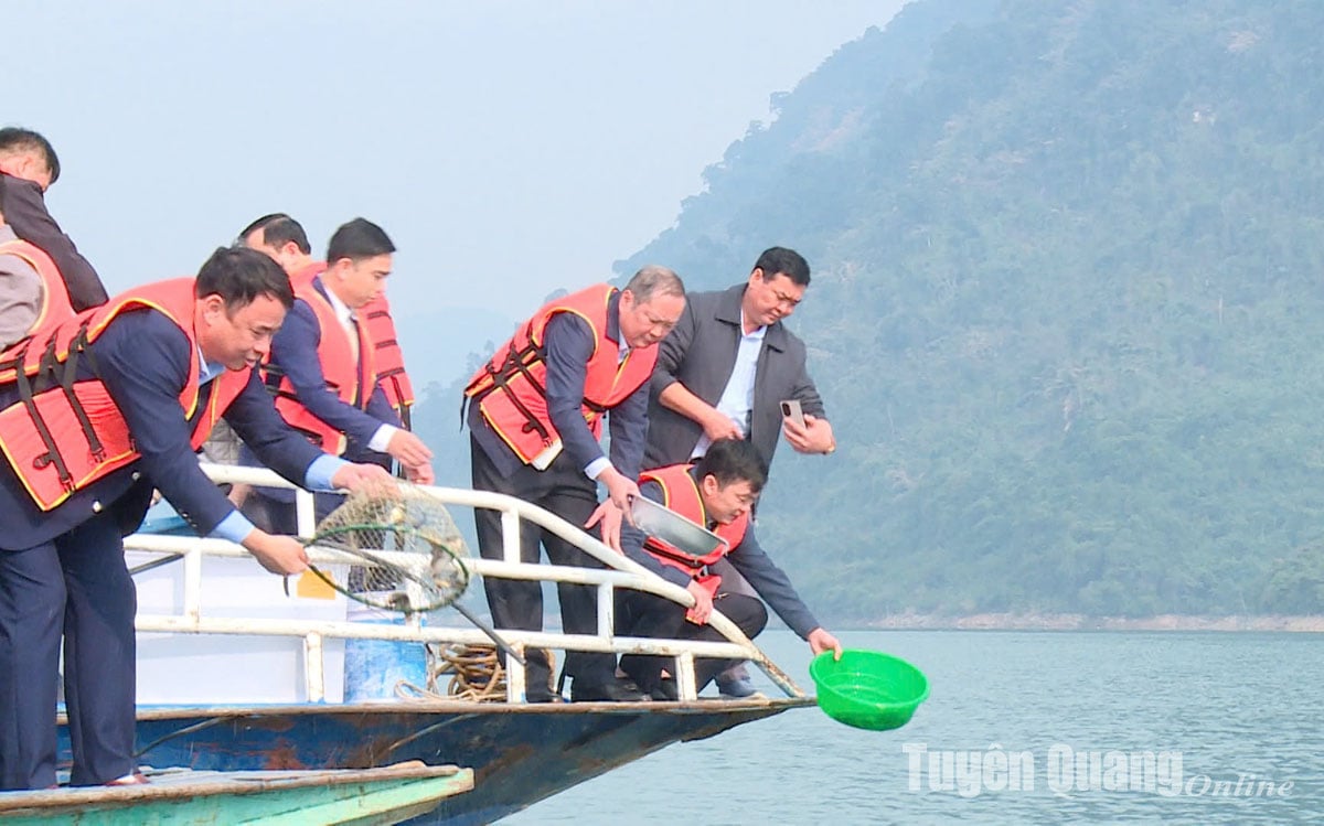 Releasing nearly 1 ton of fish to regenerate aquatic resources in the Na Hang ecological lake area