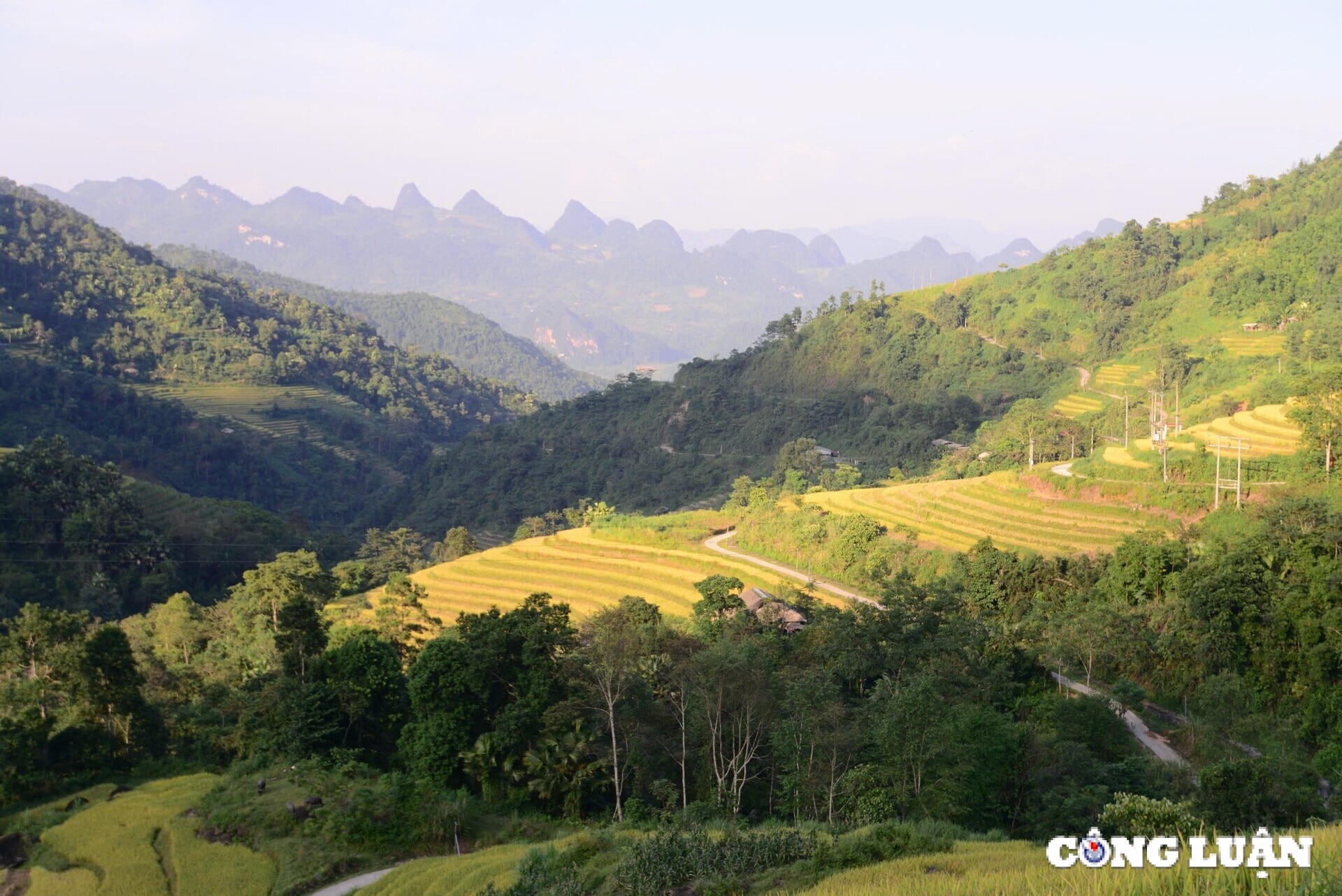 ម្ដាយ​ធ្លាក់​មាស​នៅ​វាល​បាក់​ថាំង​ក្នុង​ក្រុង​សាភីន ខេត្ត​ហាយ៉ាង រូបភាព​ទី ១២