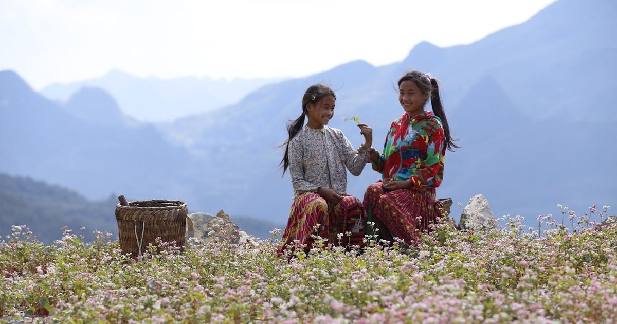 Spring colors in the mountainous region